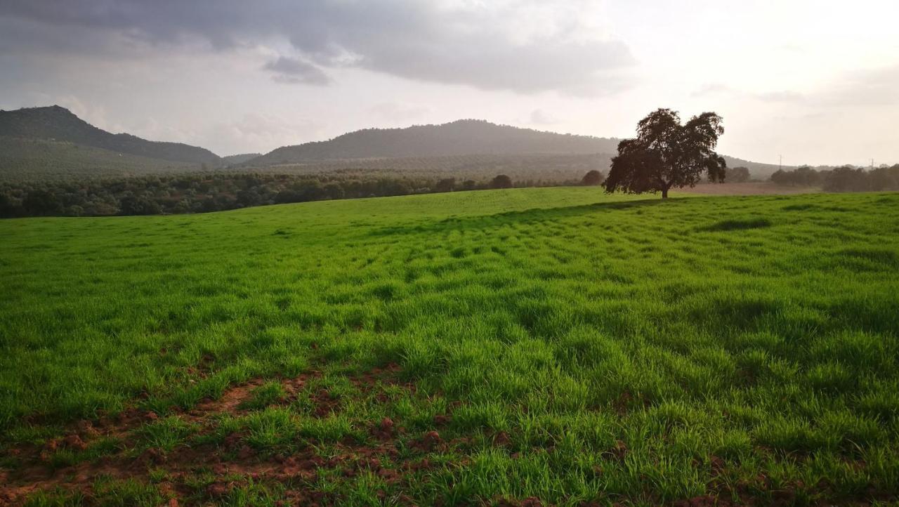 Finca El Vizconde Naturaleza Con Tus Hijos Arquillos Eksteriør bilde