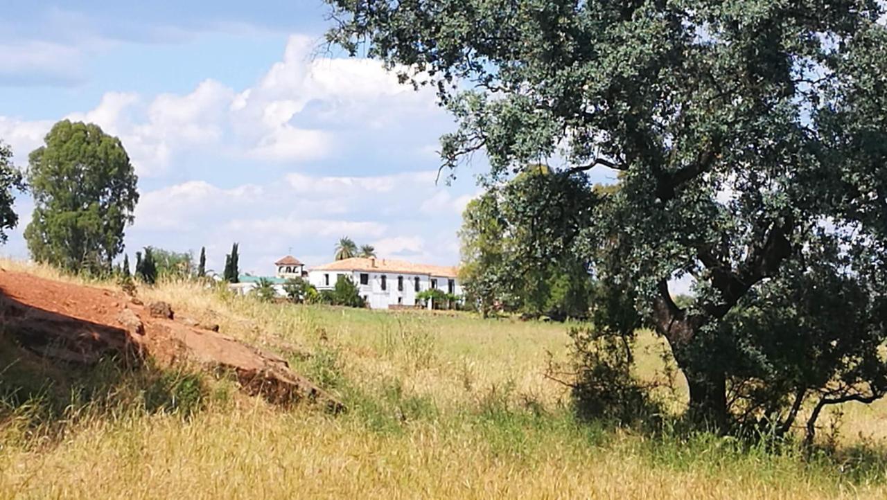 Finca El Vizconde Naturaleza Con Tus Hijos Arquillos Eksteriør bilde