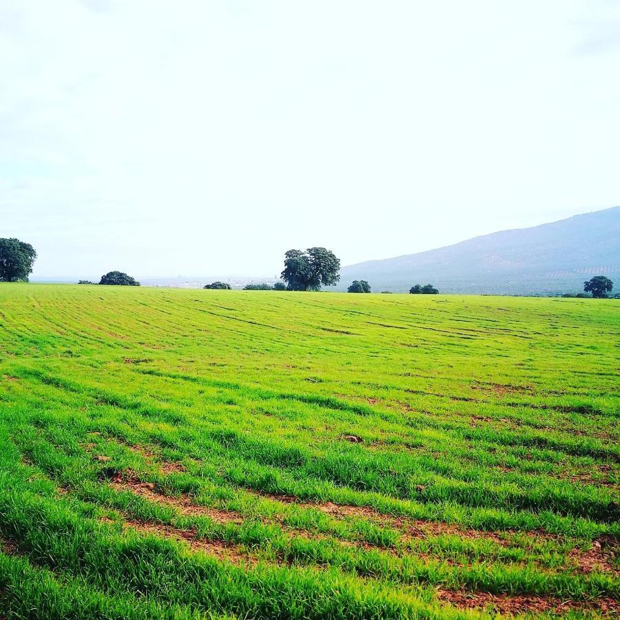 Finca El Vizconde Naturaleza Con Tus Hijos Arquillos Eksteriør bilde