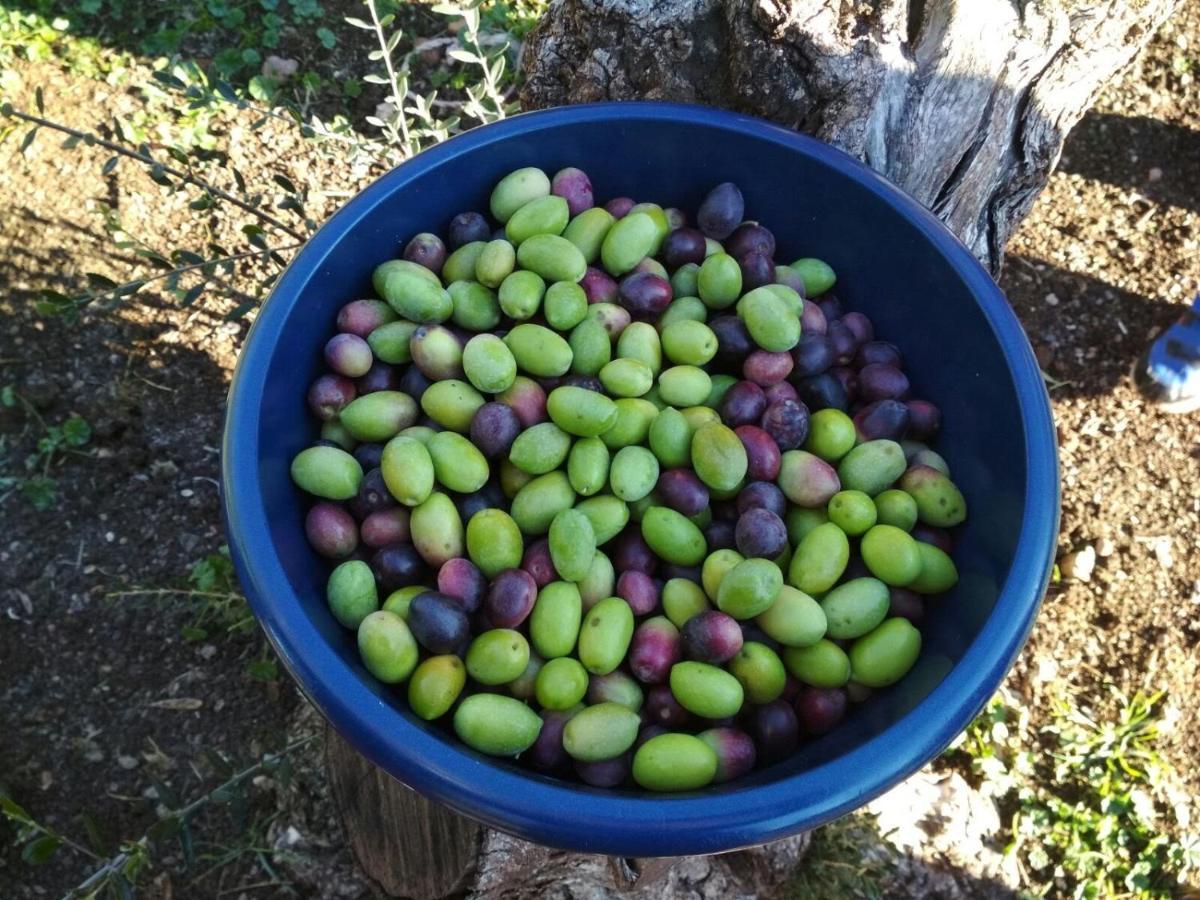 Finca El Vizconde Naturaleza Con Tus Hijos Arquillos Eksteriør bilde