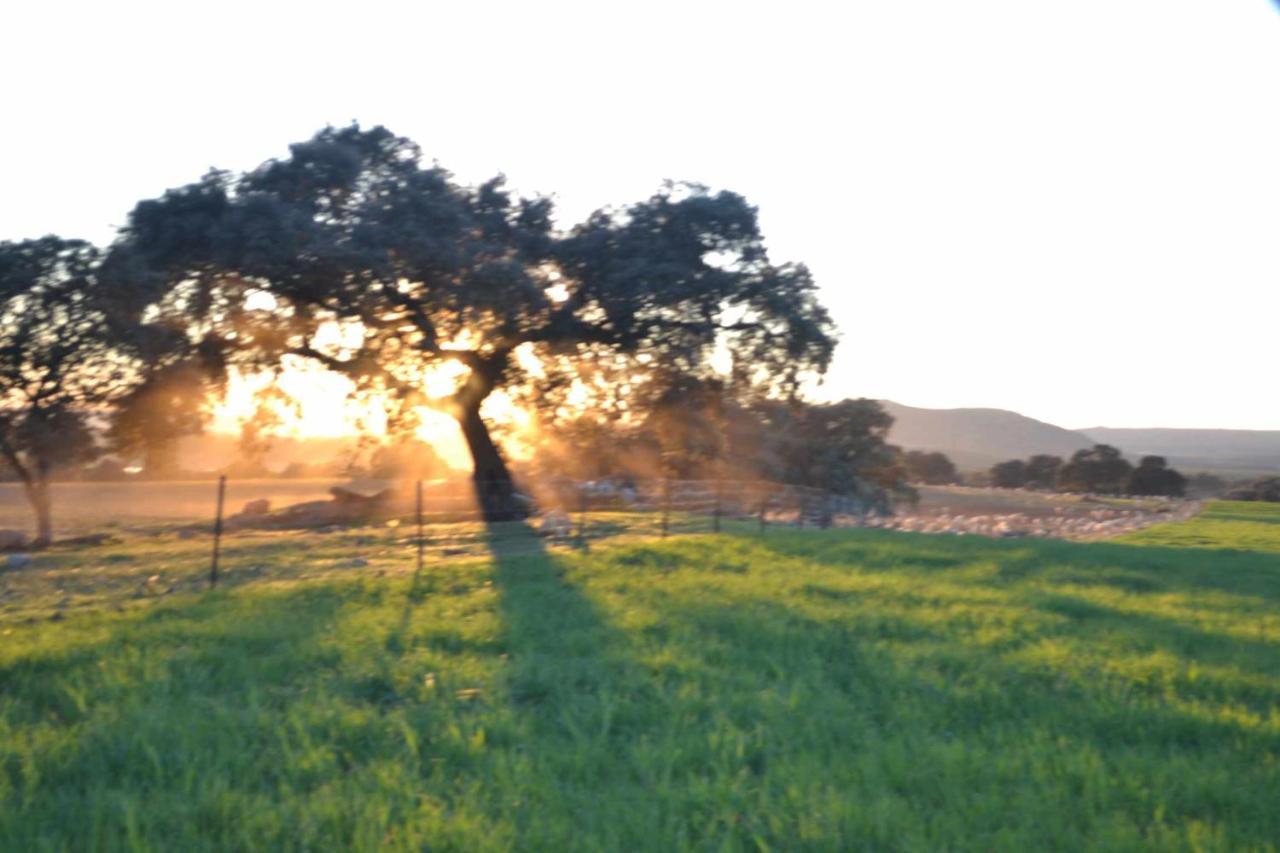 Finca El Vizconde Naturaleza Con Tus Hijos Arquillos Eksteriør bilde