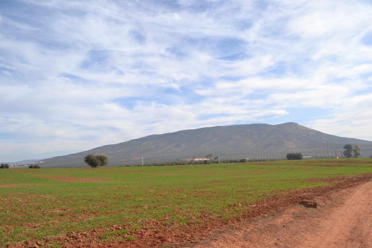 Finca El Vizconde Naturaleza Con Tus Hijos Arquillos Eksteriør bilde