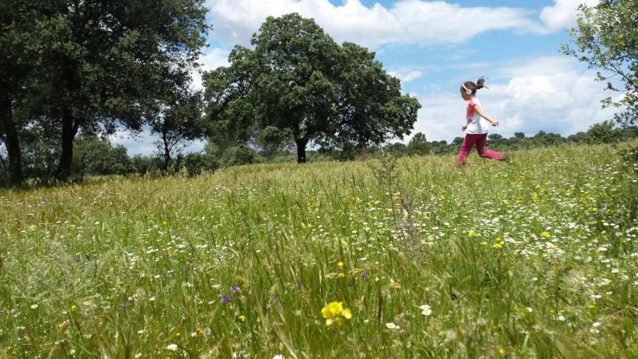 Finca El Vizconde Naturaleza Con Tus Hijos Arquillos Eksteriør bilde