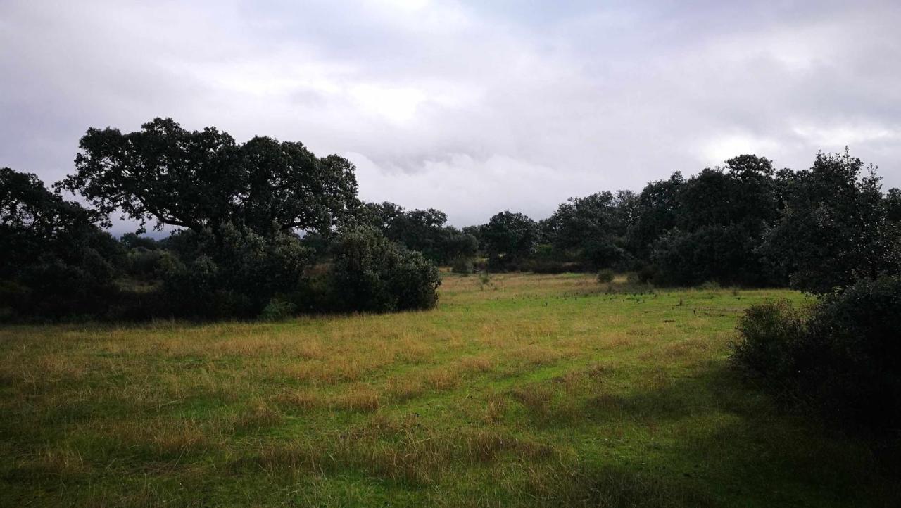Finca El Vizconde Naturaleza Con Tus Hijos Arquillos Eksteriør bilde