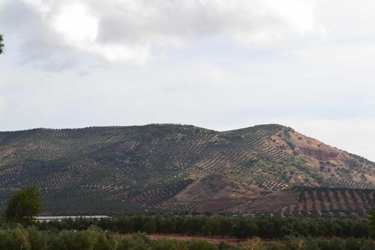 Finca El Vizconde Naturaleza Con Tus Hijos Arquillos Eksteriør bilde