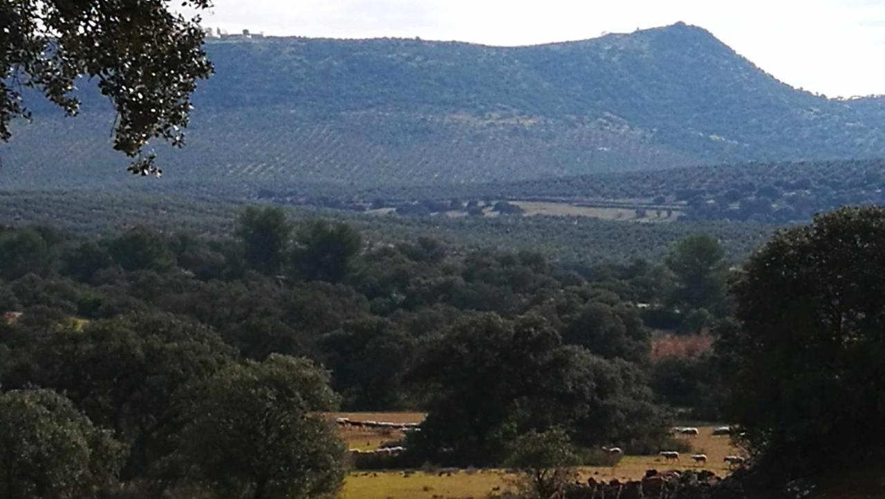 Finca El Vizconde Naturaleza Con Tus Hijos Arquillos Eksteriør bilde