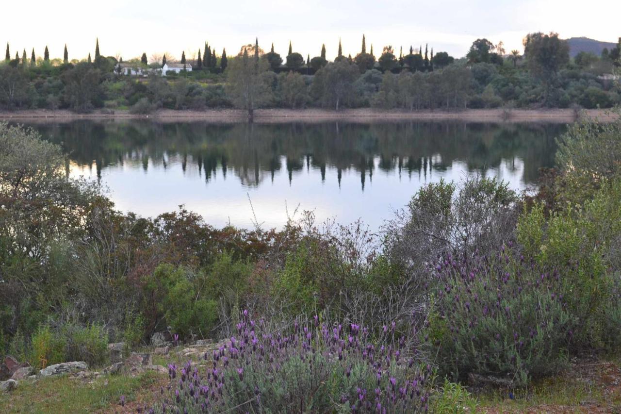 Finca El Vizconde Naturaleza Con Tus Hijos Arquillos Eksteriør bilde