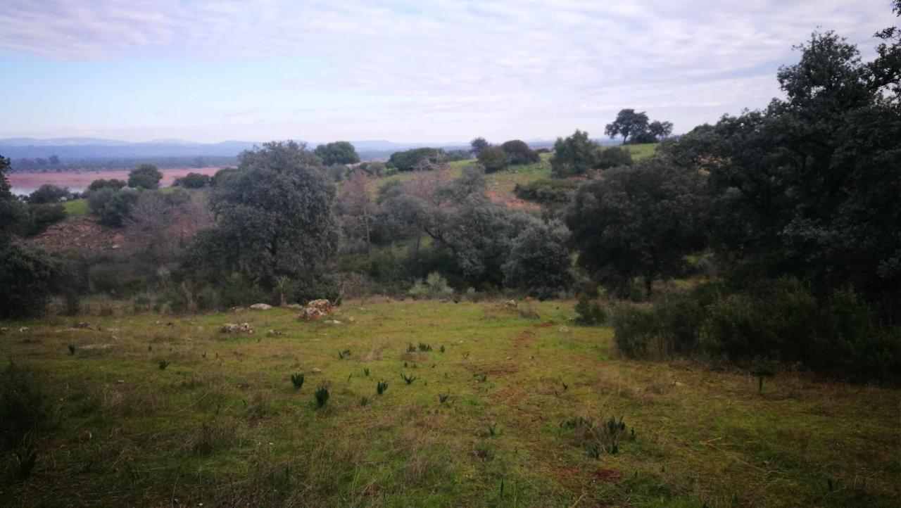 Finca El Vizconde Naturaleza Con Tus Hijos Arquillos Eksteriør bilde