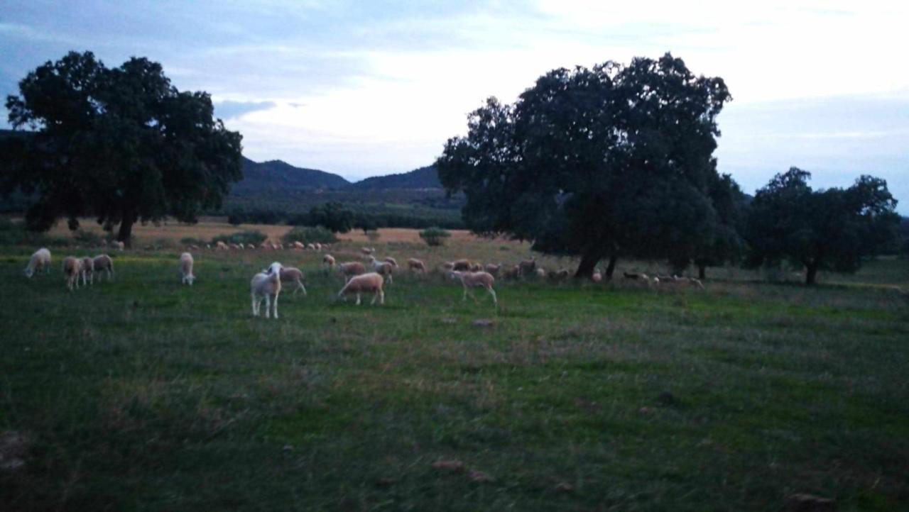 Finca El Vizconde Naturaleza Con Tus Hijos Arquillos Eksteriør bilde