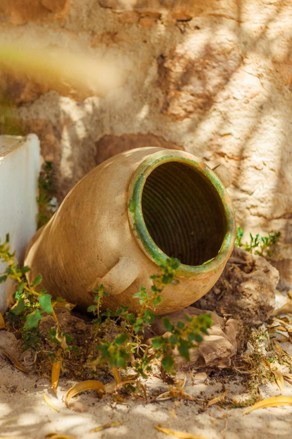 Finca El Vizconde Naturaleza Con Tus Hijos Arquillos Eksteriør bilde
